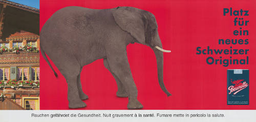 Platz für ein neues Schweizer Original, Brunette