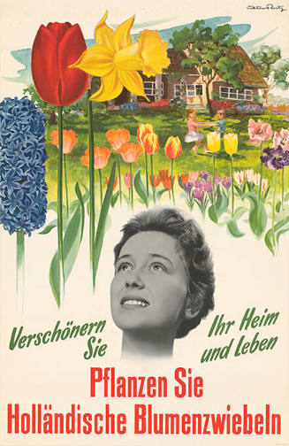 Pflanzen Sie Holländische Blumenzwiebeln, Verschönern Sie Ihr Heim und Ihr Leben