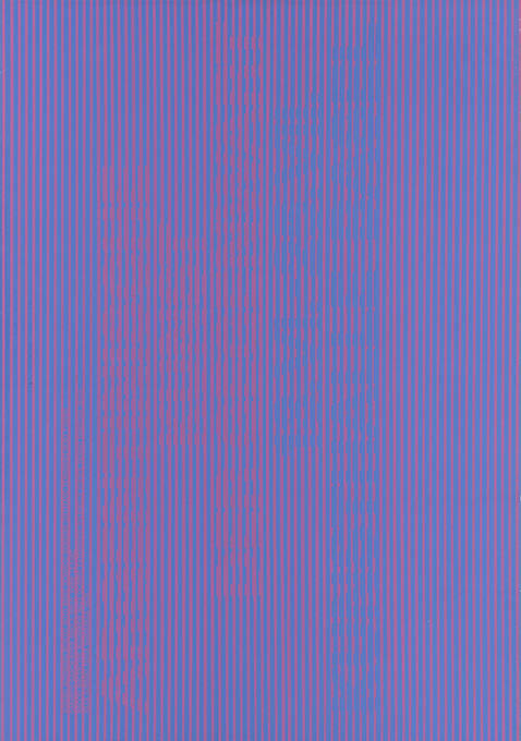Argentinische Kunst der Gegenwart, Kunsthalle Basel