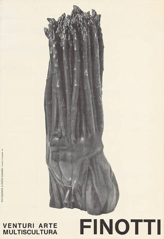 Finotti, Venturi arte Multiscultura