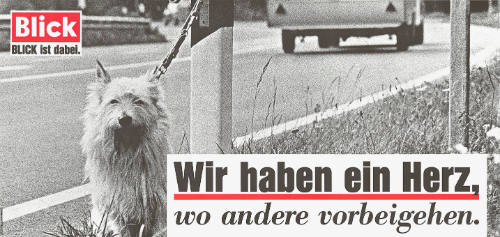 Wir haben ein Herz, wo andere vorbeigehen. Blick