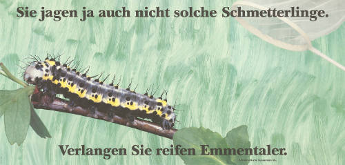Sie jagen ja auch nicht solche Schmetterlinge. Verlangen Sie reifen Emmentaler.