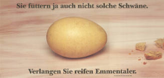 Sie füttern ja auch nicht solche Schwäne. Verlangen Sie reifen Emmentaler.