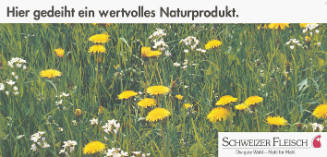 Hier gedeiht ein wertvolles Naturprodukt. Schweizer Fleisch