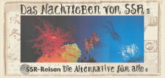 Das Nachtleben von SSR, SSR-Reisen, Die Alternative für alle