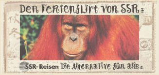 Der Ferienflirt von SSR, SSR-Reisen, Die Alternative für alle